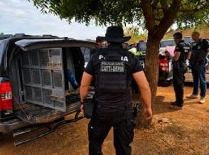 Motorista inventa assalto para ficar com R$ 80 mil e polícia recupera mais de R$ 57 mil na Bahia
