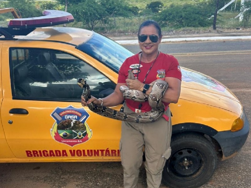 Serpentes são resgatadas em Livramento e Dom Basílio; GASA monitora aparição de macaco bugio
