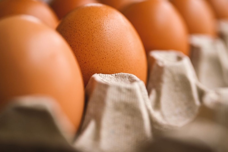 Preço do ovo volta a subir em Brumado e pressiona orçamento das famílias