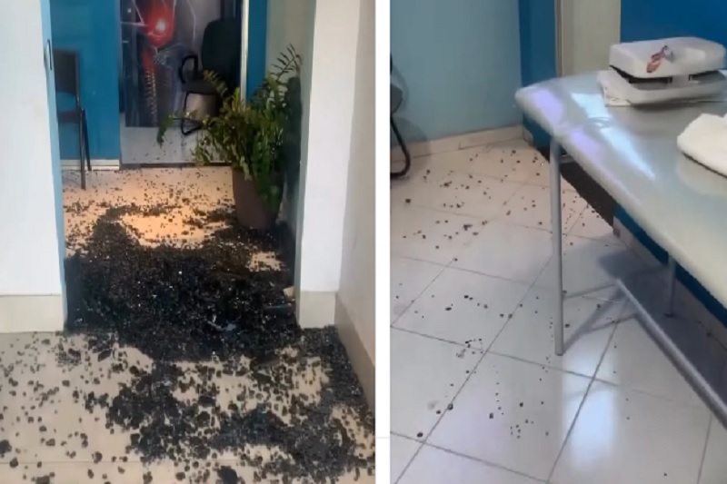 Clínica de fisioterapia é arrombada no Centro de Brumado; criminoso fica ferido em porta de vidro