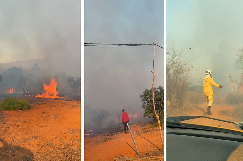 Incêndio atinge área de vegetação na zona rural de Dom Basílio; chamas foram controladas após seis horas